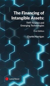 The Financing of Intangible Assets: TMT Finance and Emerging Technologies cover